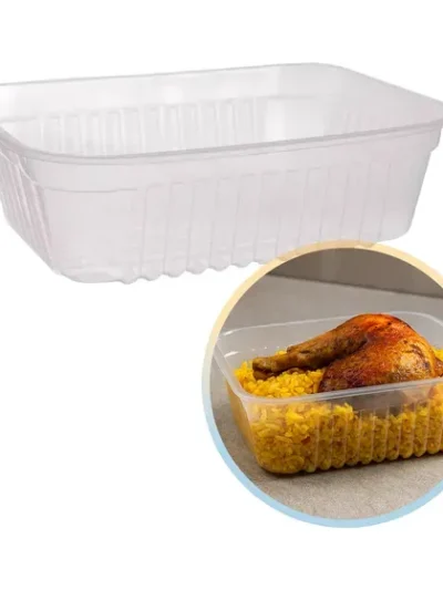 BANDEJA PLASTICA Nº 102 L RECTANGULAR x100 B.P STANDAR "VER"