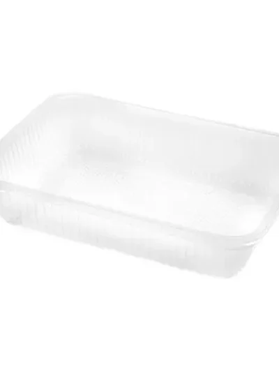 BANDEJA PLASTICA Nº 107 L RECTANGULAR x100 B.P STANDAR "VER"