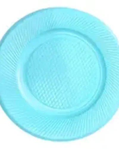 PLATO GRANDE CELESTE P22 x25u. E.A
