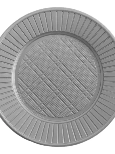 PLATO GRANDE PLATEADO P22 20x25u. B.P