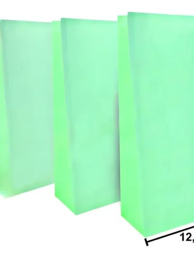 BOLSA CON FUELLE VERDE PASTEL x10u.MURILLO