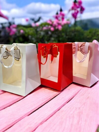 BOLSA DE REGALO MOÑO CON VISOR x12 ILC-Y320